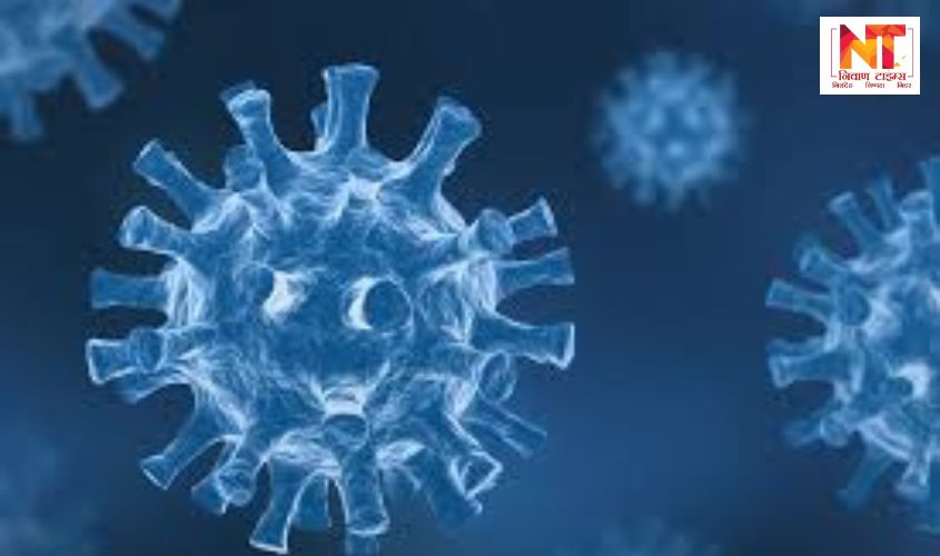 Corona Virus