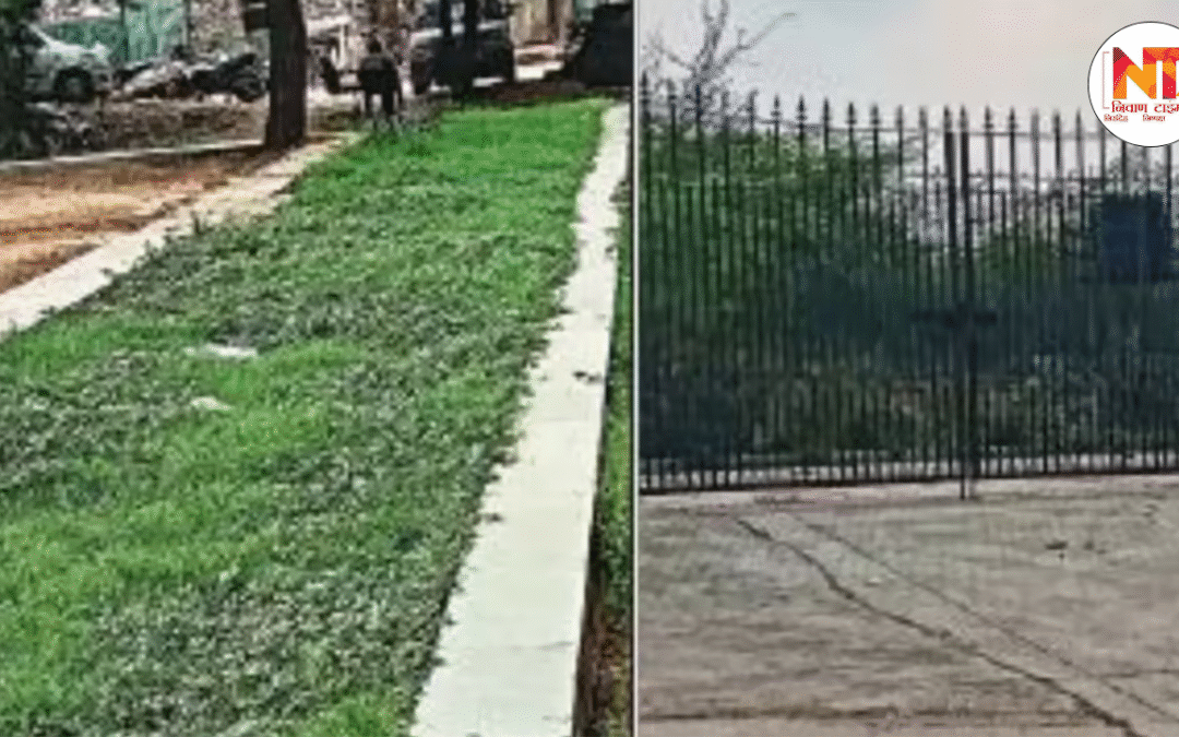 Delhi News: छतरपुर-महरौली में 8 साल से अधूरी पड़ी विकास योजनाएं, कॉलेज-हॉस्पिटल की जगह उग आया ‘जंगल’