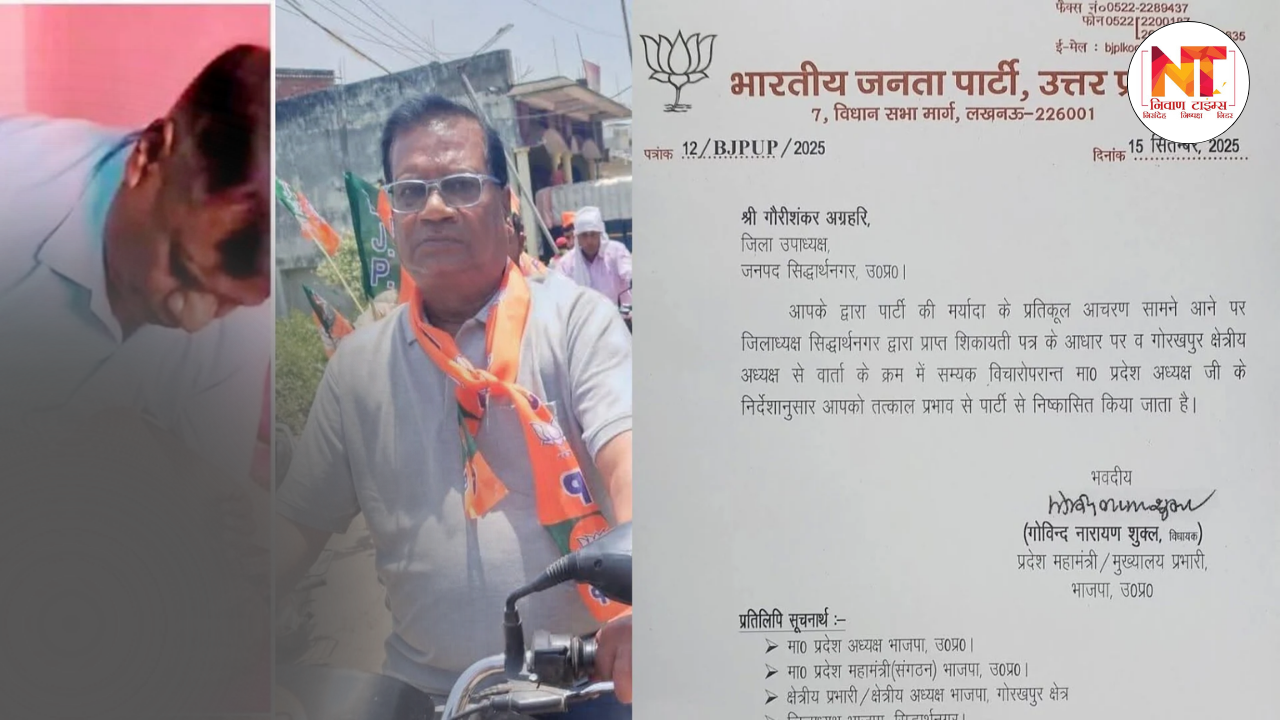 UP News