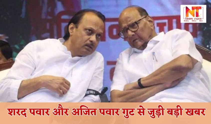 BMC Election: Big news related to Sharad Pawar and Ajit Pawar factions